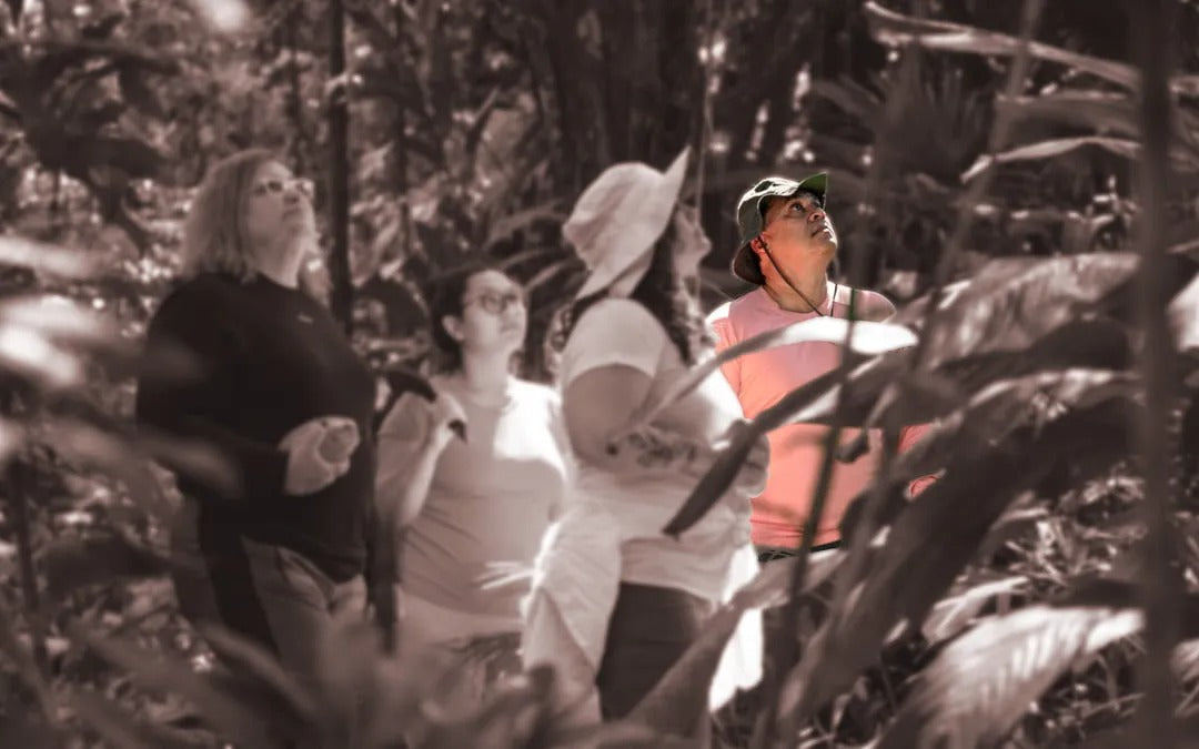 Apresentando o Rio Purus ao History Channel