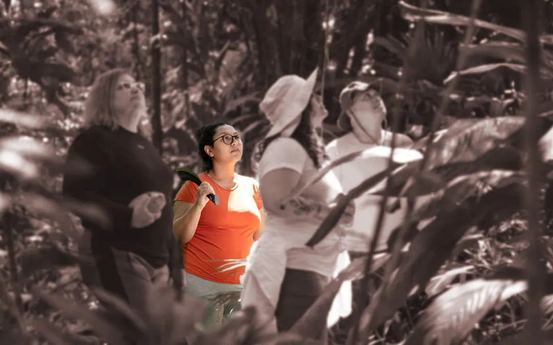 O dia que eu não passei para medicina