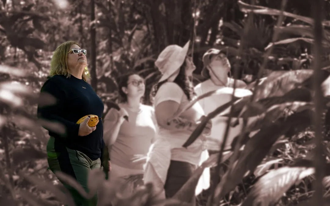 Quando descobriu que estava falando com um grande músico