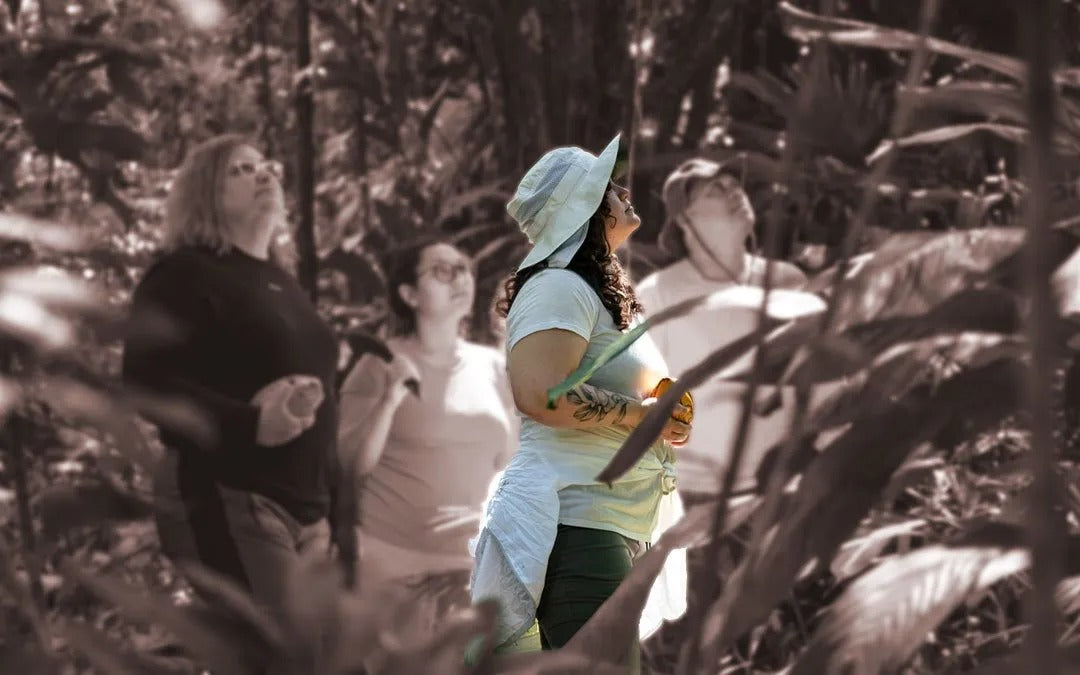 Uma Live com o maior guru de Marketing do Mundo