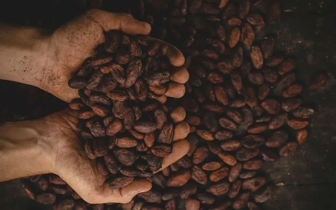 Diferentes Rios, Diferentes Sabores